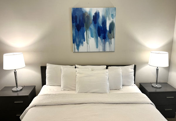 furnished luxury apartment north carolina bedroom