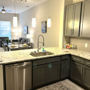 furnished apartment north carolina kitchen